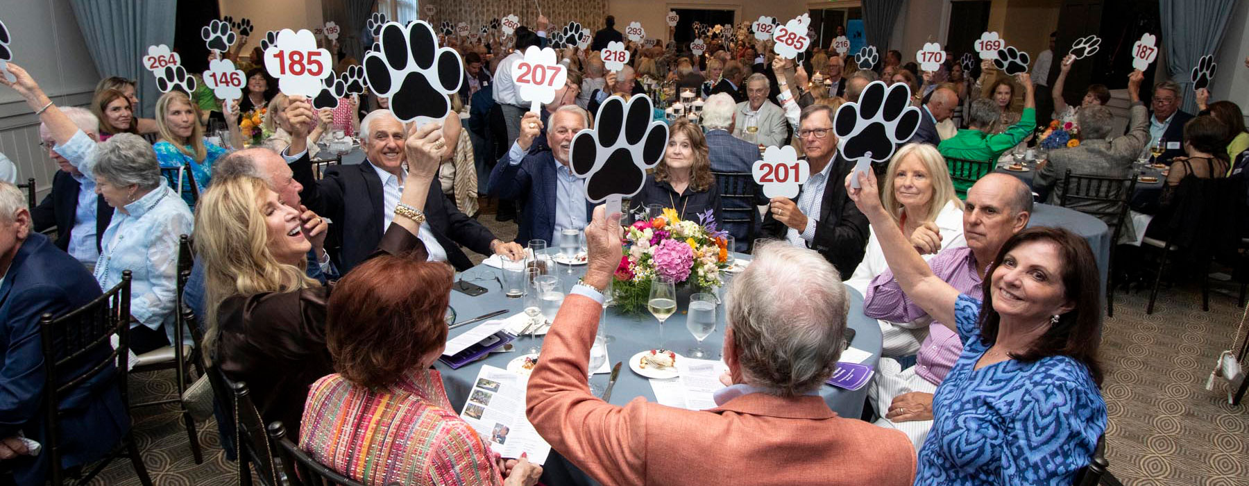 Pawsitively Purrfect Party